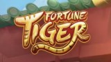 Fortune Tiger