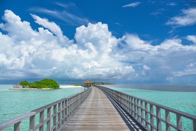 International Lifestyle and Tax Planning: Advantages of a Second Passport (Vanuatu) for Business People or Frequent Travelers