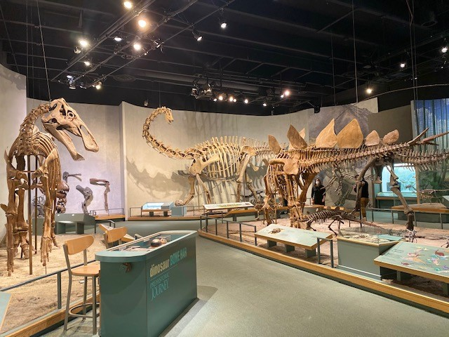 Denver Colorado Attractions: Discovering Top Things to Do Denver Colorado Attractions: Discovering Top Things to Do